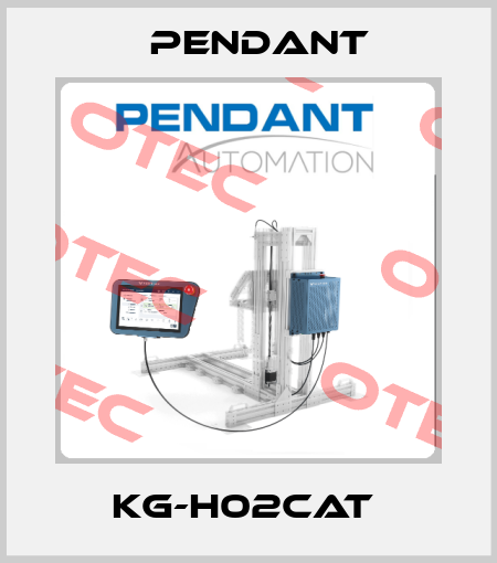 KG-H02CAT  PENDANT