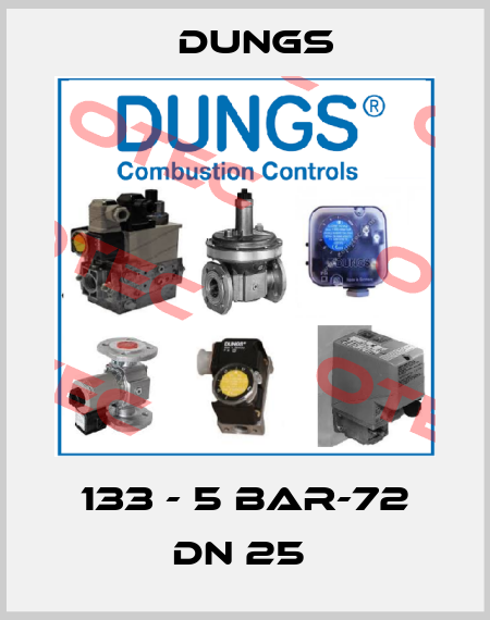 133 - 5 bar-72 DN 25  Dungs