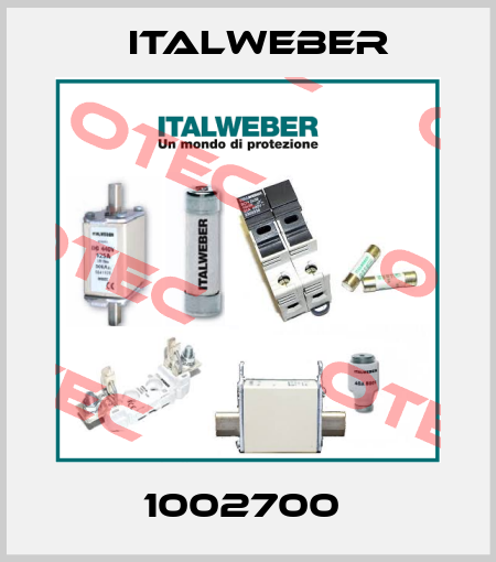 1002700  Italweber