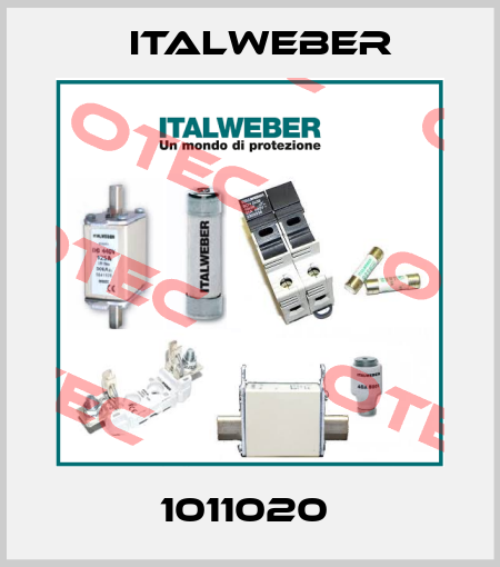 1011020  Italweber