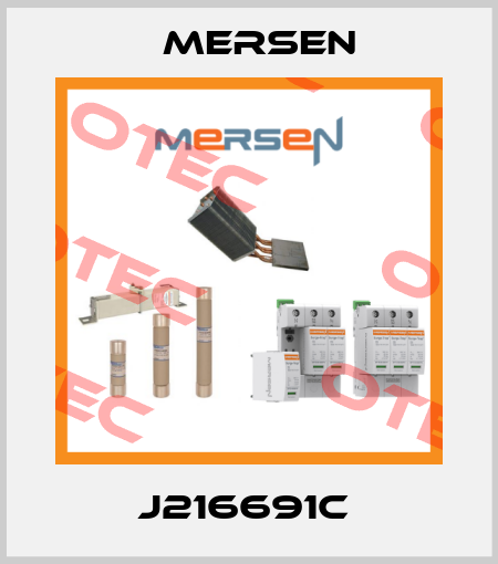 J216691C  Mersen