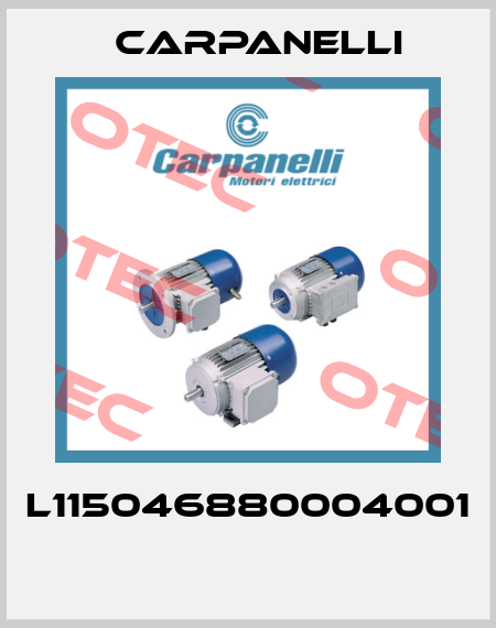 L115046880004001  Carpanelli