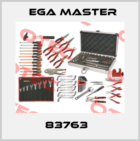 83763   EGA Master