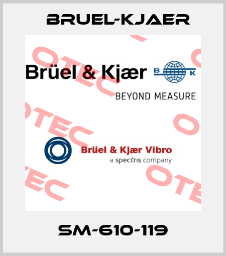 SM-610-119 Bruel-Kjaer