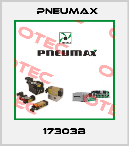 17303B Pneumax