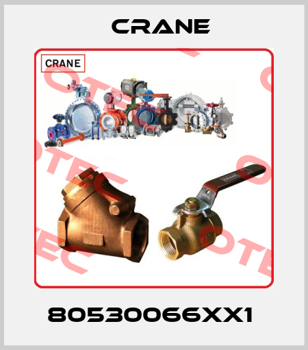 80530066XX1  Crane