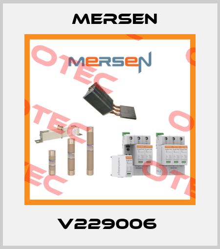 V229006  Mersen