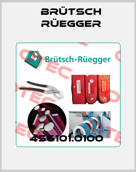 456101.0100  Brütsch Rüegger
