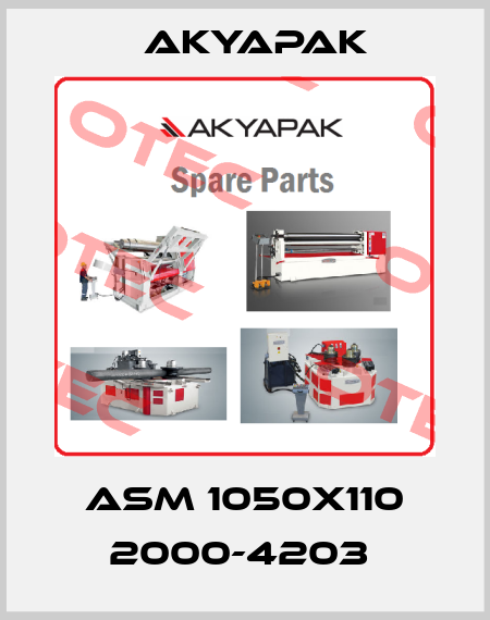 ASM 1050X110 2000-4203  Akyapak