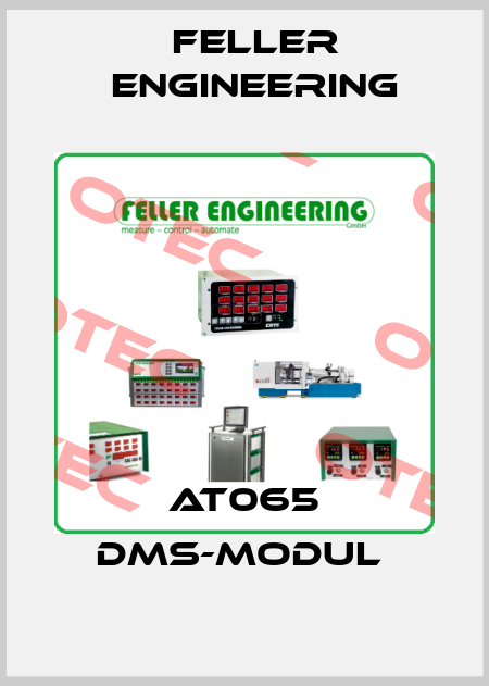 AT065 DMS-Modul  Feller Engineering