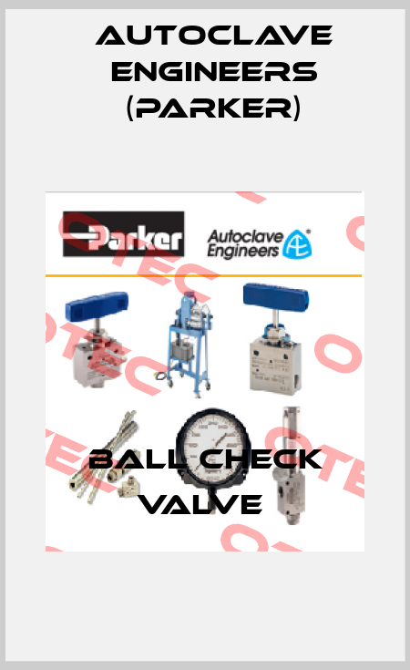 BALL CHECK VALVE  Autoclave Engineers (Parker)