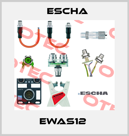 EWAS12  Escha