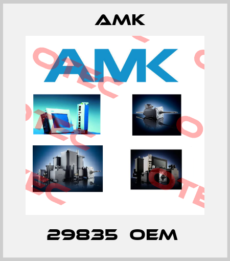 29835  OEM  AMK