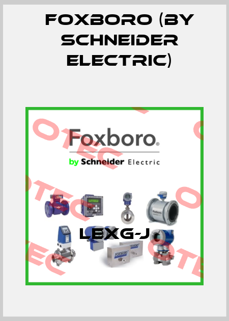 LEXG-J Foxboro (by Schneider Electric)