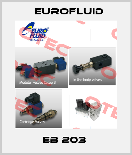 EB 203  Eurofluid