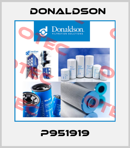 P951919 Donaldson
