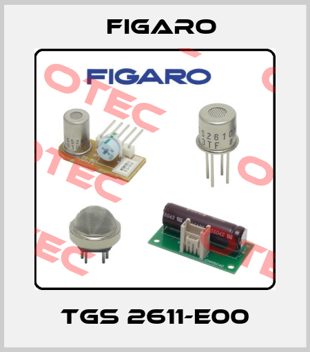 TGS 2611-E00 Figaro