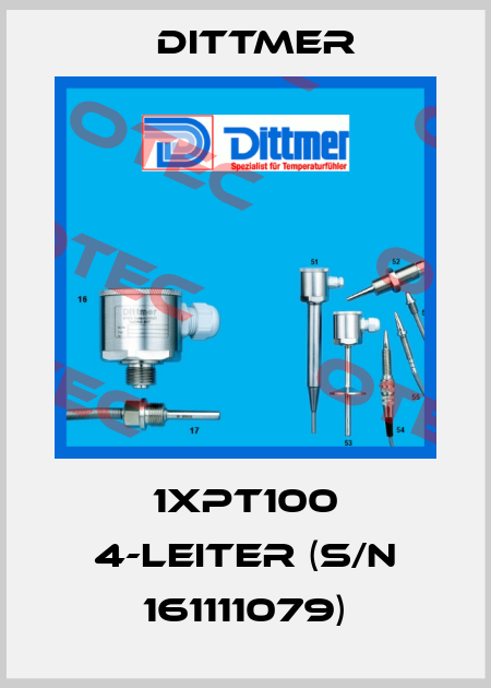 1xPT100 4-Leiter (S/N 161111079) Dittmer