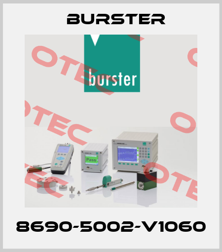 8690-5002-V1060 Burster