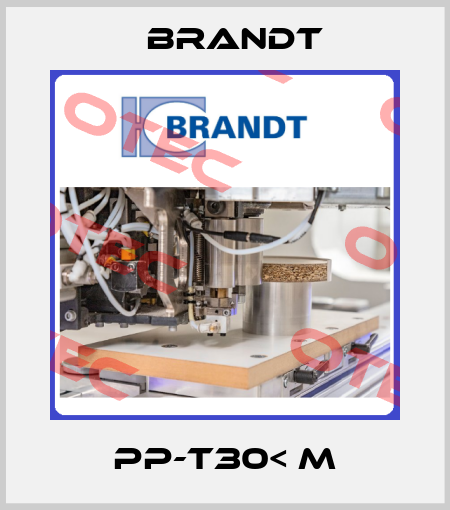 PP-T30< M Brandt