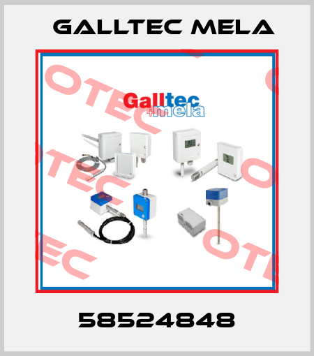 58524848 Galltec Mela