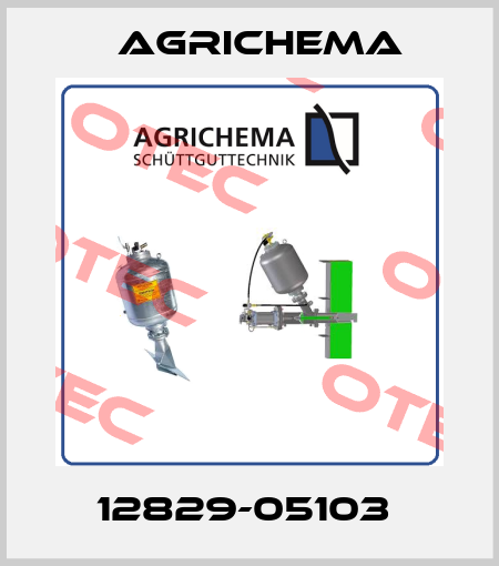12829-05103  Agrichema