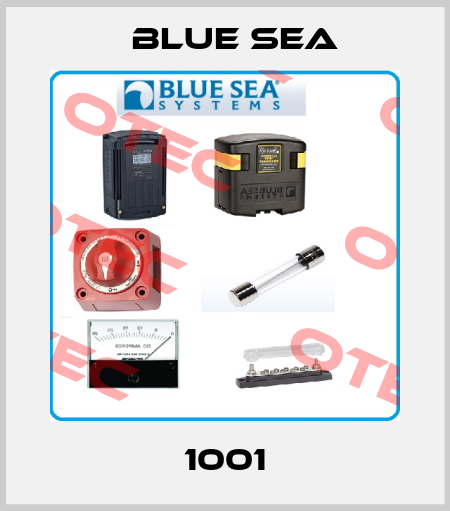 1001 Blue Sea