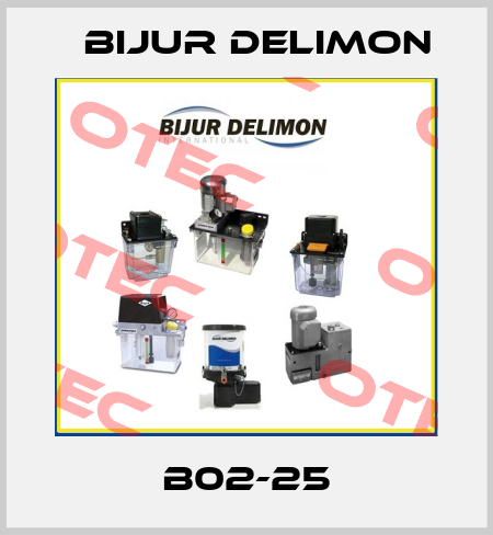 B02-25 Bijur Delimon