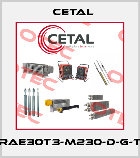 RAE30T3-M230-D-G-T Cetal