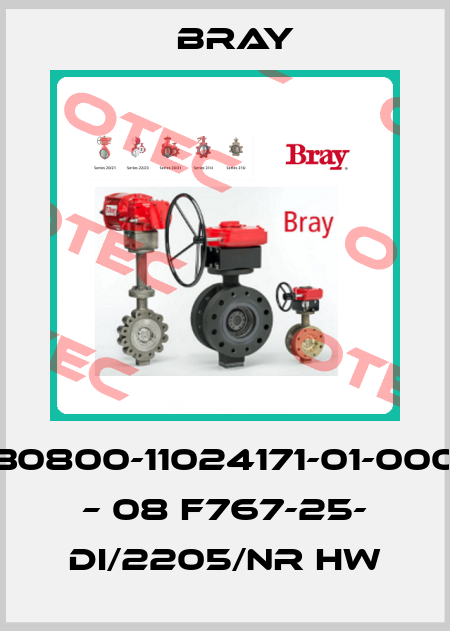 K30800-11024171-01-0000 – 08 F767-25- DI/2205/NR HW Bray