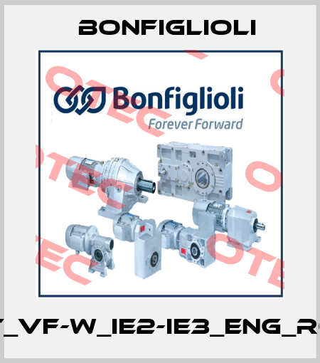 BR_CAT_VF-W_IE2-IE3_ENG_R08_1-B3 Bonfiglioli