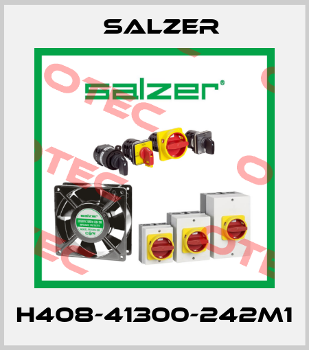 H408-41300-242M1 Salzer