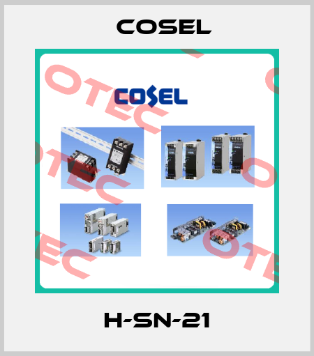 H-SN-21 Cosel