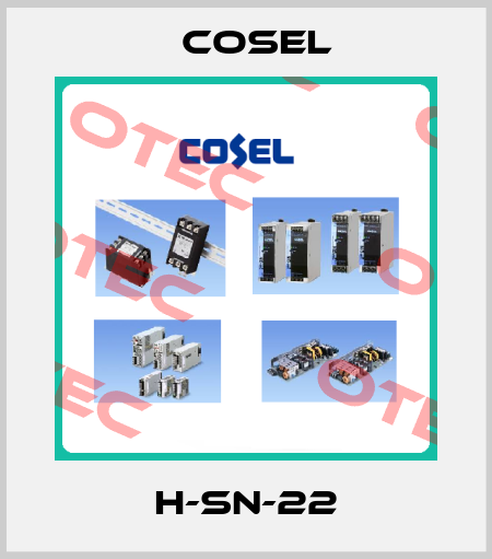 H-SN-22 Cosel