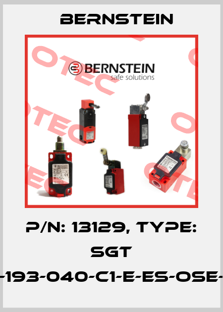 P/N: 13129, Type: SGT 15-193-040-C1-E-ES-OSE-15 Bernstein
