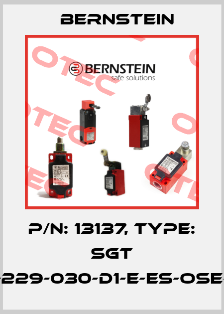 P/N: 13137, Type: SGT 15-229-030-D1-E-ES-OSE-15 Bernstein