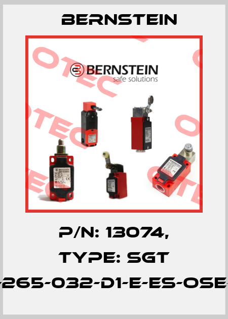 P/N: 13074, Type: SGT 15-265-032-D1-E-ES-OSE-15 Bernstein
