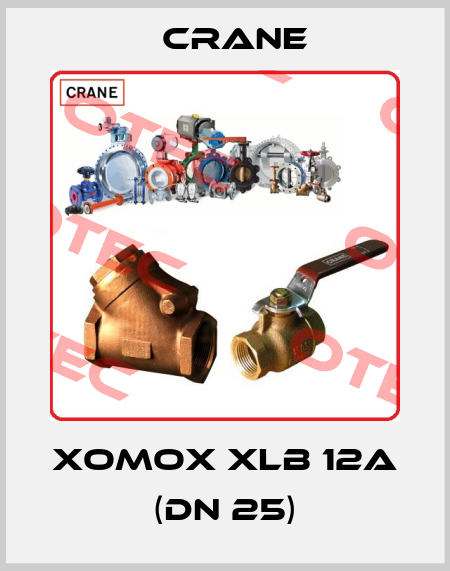 XOMOX XLB 12A (DN 25) Crane