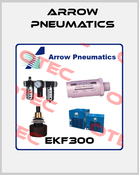 EKF300 Arrow Pneumatics