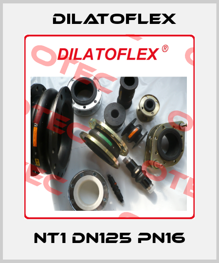 NT1 DN125 PN16 DILATOFLEX