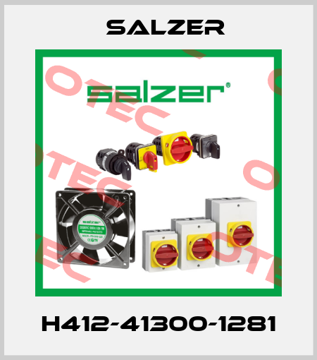 H412-41300-1281 Salzer