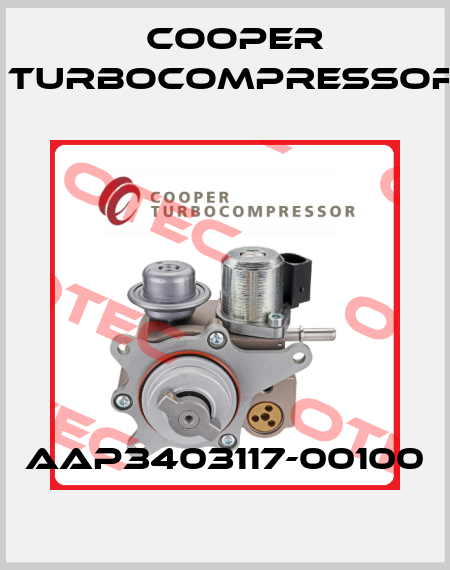 AAP3403117-00100 Cooper Turbocompressor