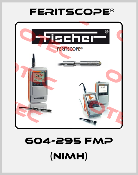 604-295 FMP (NiMH) Feritscope®