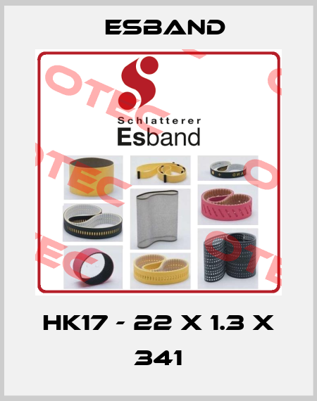 HK17 - 22 x 1.3 x 341 Esband