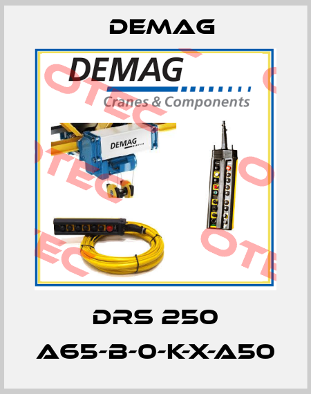 DRS 250 A65-B-0-K-X-A50 Demag