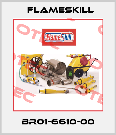 BR01-6610-00 FlameSkill