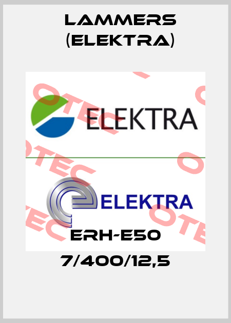 ERH-E50 7/400/12,5 Lammers (Elektra)