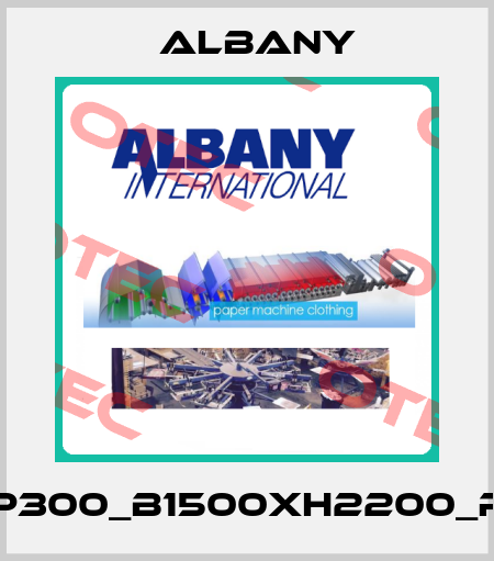 RP300_B1500xH2200_RH Albany