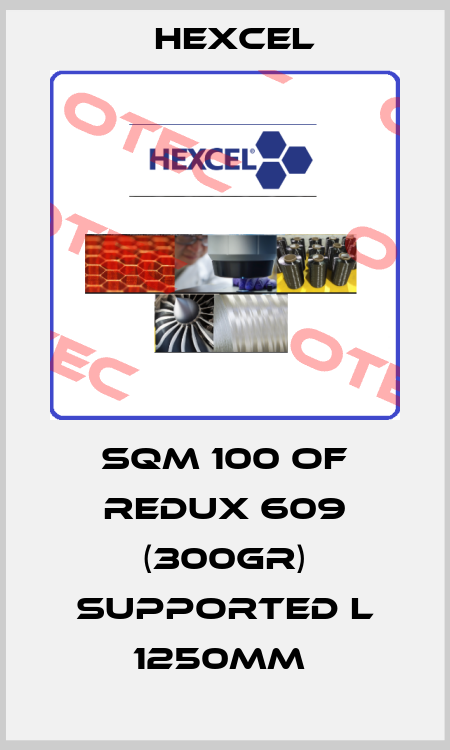 SQM 100 OF REDUX 609 (300GR) SUPPORTED L 1250MM  Hexcel
