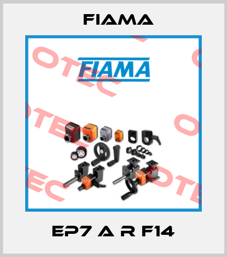 EP7 A R F14 Fiama